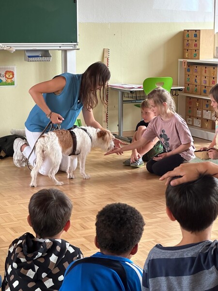 1cschulhund1